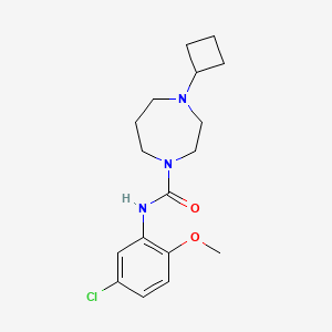molecular formula C17H24ClN3O2 B2541303 N-(5-chloro-2-methoxyphenyl)-4-cyclobutyl-1,4-diazepane-1-carboxamide CAS No. 2190365-50-3