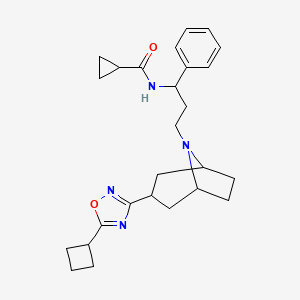 N-(3-((1R,5S)-3-(5-cyclobutyl-1,2,4-oxadiazol-3-yl)-8-azabicyclo[3.2.1]octan-8-yl)-1-phenylpropyl)cyclopropanecarboxamide