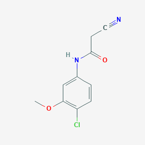 molecular formula C10H9ClN2O2 B254218 N-(4-chloro-3-methoxyphenyl)-2-cyanoacetamide 