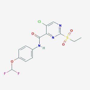 molecular formula C14H12ClF2N3O4S B254518 5-chloro-N-[4-(difluoromethoxy)phenyl]-2-(ethylsulfonyl)pyrimidine-4-carboxamide 