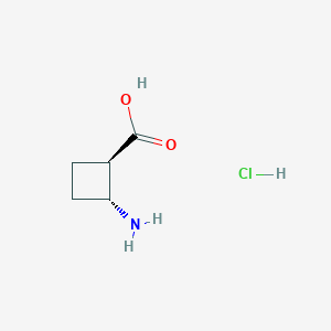molecular formula C5H10ClNO2 B2545462 trans-2-Aminocyclobutane-1-carboxylic acid hydrochloride CAS No. 1818847-78-7