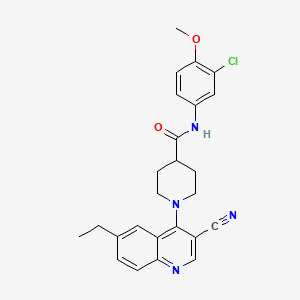 N-(3-chloro-4-methoxyphenyl)-1-(3-cyano-6-ethylquinolin-4-yl)piperidine-4-carboxamide