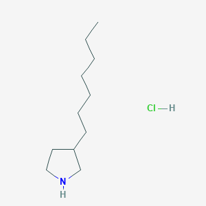 molecular formula C11H24ClN B2545839 3-庚基吡咯烷;盐酸盐 CAS No. 2377033-18-4