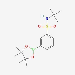 molecular formula C16H26BNO4S B2546246 N-叔丁基-3-(4,4,5,5-四甲基-1,3,2-二氧杂硼烷-2-基)苯磺酰胺 CAS No. 706820-95-3