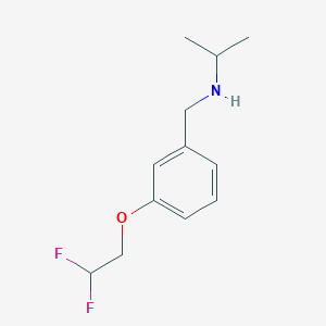 molecular formula C12H17F2NO B2546500 N-[[3-(2,2-difluoroethoxy)phenyl]methyl]propan-2-amine CAS No. 1179056-44-0