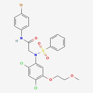 N-(4-bromophenyl)-2-[2,4-dichloro-5-(2-methoxyethoxy)(phenylsulfonyl)anilino]acetamide