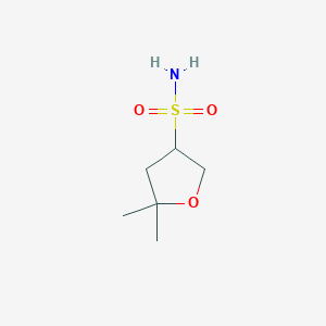 5,5-Dimethyloxolane-3-sulfonamide