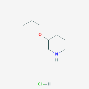 molecular formula C9H20ClNO B2547497 3-(2-Methylpropoxy)piperidine;hydrochloride CAS No. 2460756-51-6