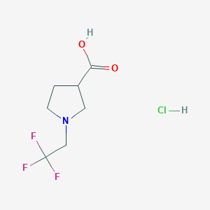 molecular formula C7H11ClF3NO2 B2547660 1-(2,2,2-三氟乙基)吡咯烷-3-羧酸盐酸盐 CAS No. 1803566-91-7