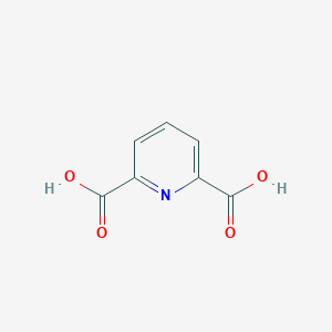 B025484 2,6-Pyridinedicarboxylic acid CAS No. 499-83-2