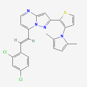 molecular formula C24H18Cl2N4S B2548419 7-[(E)-2-(2,4-dichlorophenyl)ethenyl]-2-[3-(2,5-dimethyl-1H-pyrrol-1-yl)-2-thienyl]pyrazolo[1,5-a]pyrimidine CAS No. 692737-04-5