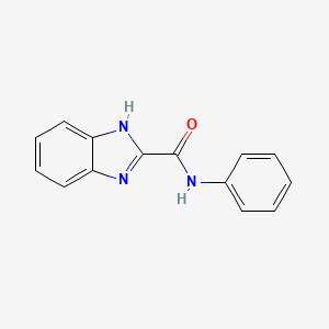 molecular formula C14H11N3O B2548676 N-苯基-1H-苯并咪唑-2-甲酰胺 CAS No. 13745-42-1