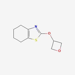 molecular formula C10H13NO2S B2549663 2-(氧杂环丁-3-氧基)-4,5,6,7-四氢-1,3-苯并噻唑 CAS No. 2198021-89-3