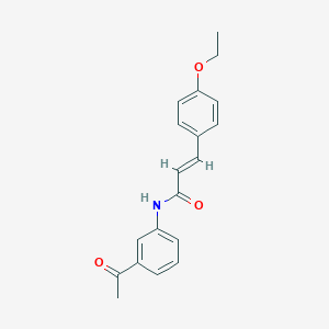 molecular formula C19H19NO3 B254982 N-(3-acetylphenyl)-3-(4-ethoxyphenyl)acrylamide 