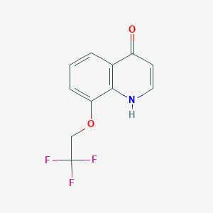 molecular formula C11H8F3NO2 B2550458 8-(2,2,2-trifluoroethoxy)-1H-quinolin-4-one CAS No. 254435-52-4