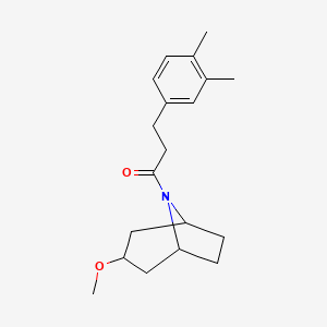 molecular formula C19H27NO2 B2550558 3-(3,4-二甲苯基)-1-((1R,5S)-3-甲氧基-8-氮杂双环[3.2.1]辛-8-基)丙-1-酮 CAS No. 2191213-23-5