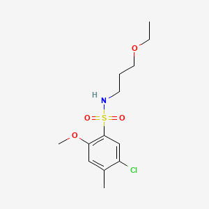 molecular formula C13H20ClNO4S B2550715 5-氯-N-(3-乙氧基丙基)-2-甲氧基-4-甲基苯磺酰胺 CAS No. 898645-73-3