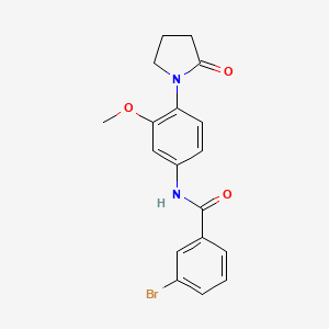 3-bromo-N-(3-methoxy-4-(2-oxopyrrolidin-1-yl)phenyl)benzamide