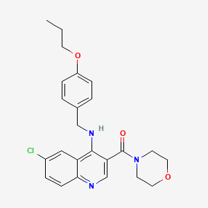 molecular formula C24H26ClN3O3 B2554614 {6-Chloro-4-[(4-propoxybenzyl)amino]quinolin-3-yl}(morpholin-4-yl)methanone CAS No. 1326838-91-8