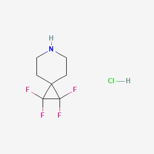 molecular formula C7H10ClF4N B2554730 1,1,2,2-Tetrafluoro-6-azaspiro[2.5]octane hydrochloride CAS No. 1955547-12-2