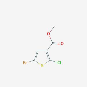 molecular formula C6H4BrClO2S B2554732 5-溴-2-氯噻吩-3-甲酸甲酯 CAS No. 1243475-64-0