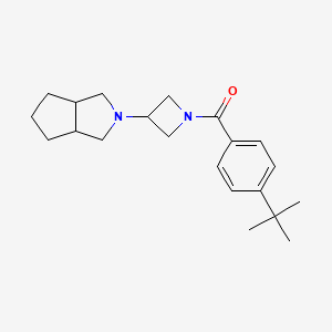 molecular formula C21H30N2O B2555524 [3-(3,3a,4,5,6,6a-Hexahydro-1H-cyclopenta[c]pyrrol-2-yl)azetidin-1-yl]-(4-tert-butylphenyl)methanone CAS No. 2415551-59-4
