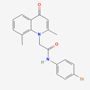 molecular formula C19H17BrN2O2 B2555825 N-(4-bromophenyl)-2-(2,8-dimethyl-4-oxoquinolin-1(4H)-yl)acetamide CAS No. 384366-65-8