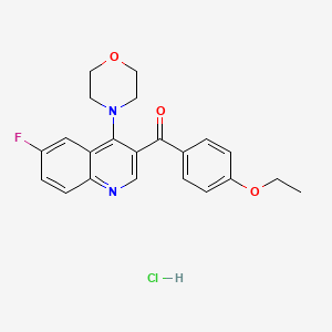 B2556509 3-(4-Ethoxybenzoyl)-6-fluoro-4-(morpholin-4-yl)quinoline hydrochloride CAS No. 2097866-13-0
