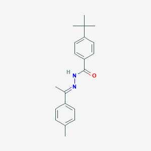 molecular formula C20H24N2O B255665 4-tert-butyl-N'-[1-(4-methylphenyl)ethylidene]benzohydrazide 