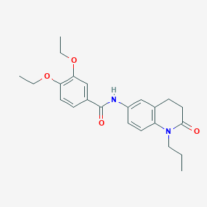 molecular formula C23H28N2O4 B2557200 3,4-diethoxy-N-(2-oxo-1-propyl-1,2,3,4-tetrahydroquinolin-6-yl)benzamide CAS No. 954660-05-0