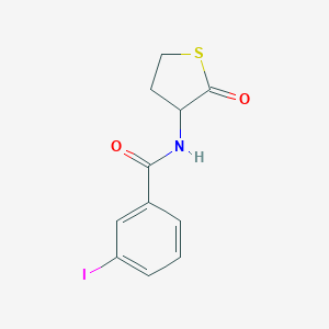 molecular formula C11H10INO2S B255728 3-iodo-N-(2-oxotetrahydro-3-thienyl)benzamide 