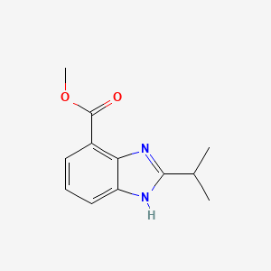 molecular formula C12H14N2O2 B2557585 Methyl 2-propan-2-yl-1H-benzimidazole-4-carboxylate CAS No. 1513140-00-5