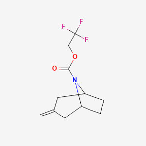 molecular formula C11H14F3NO2 B2557640 2,2,2-trifluoroethyl (1R,5S)-3-methylene-8-azabicyclo[3.2.1]octane-8-carboxylate CAS No. 2320601-51-0