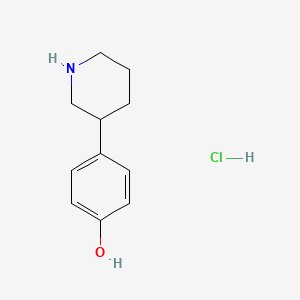 molecular formula C11H16ClNO B2557732 4-(ピペリジン-3-イル)フェノール塩酸塩 CAS No. 2243520-64-9