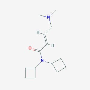 B2557798 (E)-N,N-Di(cyclobutyl)-4-(dimethylamino)but-2-enamide CAS No. 2094952-28-8