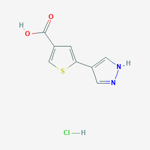 molecular formula C8H7ClN2O2S B2558028 5-(1H-ピラゾール-4-イル)チオフェン-3-カルボン酸塩酸塩 CAS No. 2174008-00-3