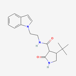 molecular formula C19H25N3O2 B2558856 4-tert-butyl-N-[2-(1H-indol-1-yl)ethyl]-2-oxopyrrolidine-3-carboxamide CAS No. 2097920-86-8