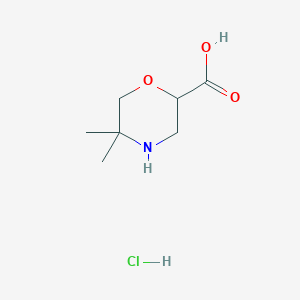 molecular formula C7H14ClNO3 B2560068 5,5-二甲基吗啉-2-羧酸；盐酸盐 CAS No. 2287345-23-5