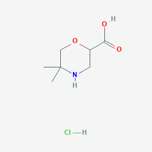 molecular formula C7H14ClNO3 B2560068 Acide 5,5-diméthylmorpholine-2-carboxylique ; chlorhydrate CAS No. 2287345-23-5