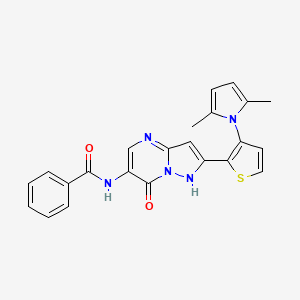 molecular formula C23H19N5O2S B2560158 N-(2-[3-(2,5-Dimethyl-1H-pyrrol-1-YL)-2-thienyl]-7-hydroxypyrazolo[1,5-A]pyrimidin-6-YL)benzenecarboxamide CAS No. 439120-64-6
