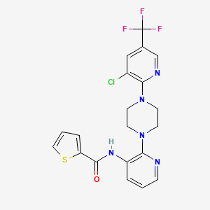 molecular formula C20H17ClF3N5OS B2560790 N-(2-{4-[3-氯-5-(三氟甲基)-2-吡啶基]哌嗪-1-基}-3-吡啶基)-2-噻吩甲酰胺 CAS No. 478262-16-7