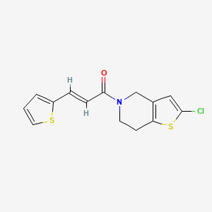 molecular formula C14H12ClNOS2 B2562139 (E)-1-(2-氯-6,7-二氢噻吩并[3,2-c]吡啶-5(4H)-基)-3-(噻吩-2-基)丙-2-烯-1-酮 CAS No. 2034896-76-7