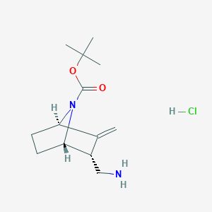 tert-butyl rac-(1S,2R,4R)-2-(aminomethyl)-3-methylene-7-azabicyclo[2.2.1]heptane-7-carboxylate hydrochloride