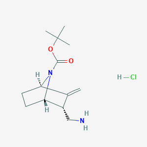 molecular formula C13H23ClN2O2 B2562907 tert-butyl rac-(1S,2R,4R)-2-(aminomethyl)-3-methylene-7-azabicyclo[2.2.1]heptane-7-carboxylate hydrochloride CAS No. 1909288-65-8