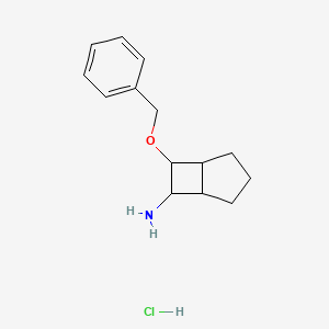 molecular formula C14H20ClNO B2563144 7-Phenylmethoxybicyclo[3.2.0]heptan-6-amine;hydrochloride CAS No. 2253631-97-7
