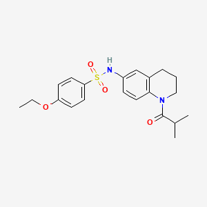 4-ethoxy-N-(1-isobutyryl-1,2,3,4-tetrahydroquinolin-6-yl)benzenesulfonamide