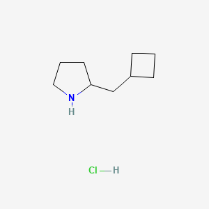 molecular formula C9H18ClN B2563651 2-(环丁基甲基)吡咯烷;盐酸盐 CAS No. 2416236-84-3