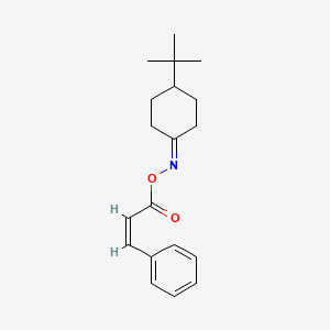 molecular formula C19H25NO2 B2563713 1-(Tert-butyl)-4-[(cinnamoyloxy)imino]cyclohexane CAS No. 306730-61-0