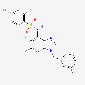 molecular formula C23H21Cl2N3O2S B2564103 2,4-dichloro-N-[5,6-dimethyl-1-(3-methylbenzyl)-1H-1,3-benzimidazol-4-yl]benzenesulfonamide CAS No. 338423-46-4