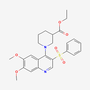 Ethyl 1-(6,7-dimethoxy-3-(phenylsulfonyl)quinolin-4-yl)piperidine-3-carboxylate